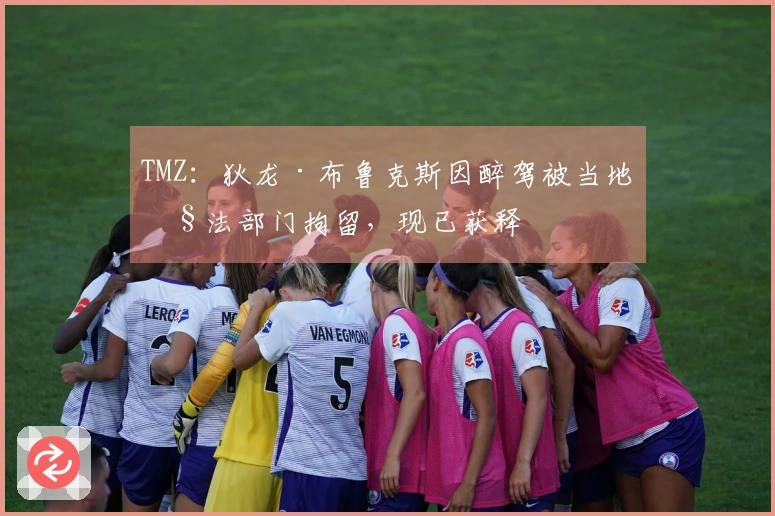 TMZ：狄龙·布鲁克斯因醉驾被当地执法部门拘留，现已获释