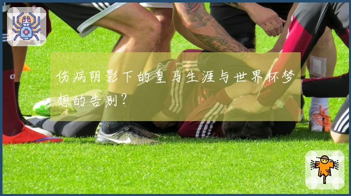 伤病阴影下的皇马生涯与世界杯梦想的告别？